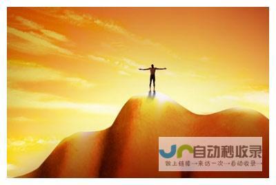打造您成功的线上世界：专业网站开发网络公司