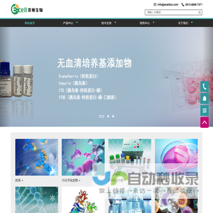 重组转铁蛋白-ITSE-T细胞扩增-红细胞裂解液-奕赛生物
